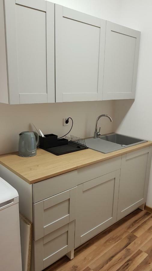 Apartament Nr 15 - 2 Pokoje Z Prywatnymi Lazienkami Centrum Poznan Poznań Exterior foto